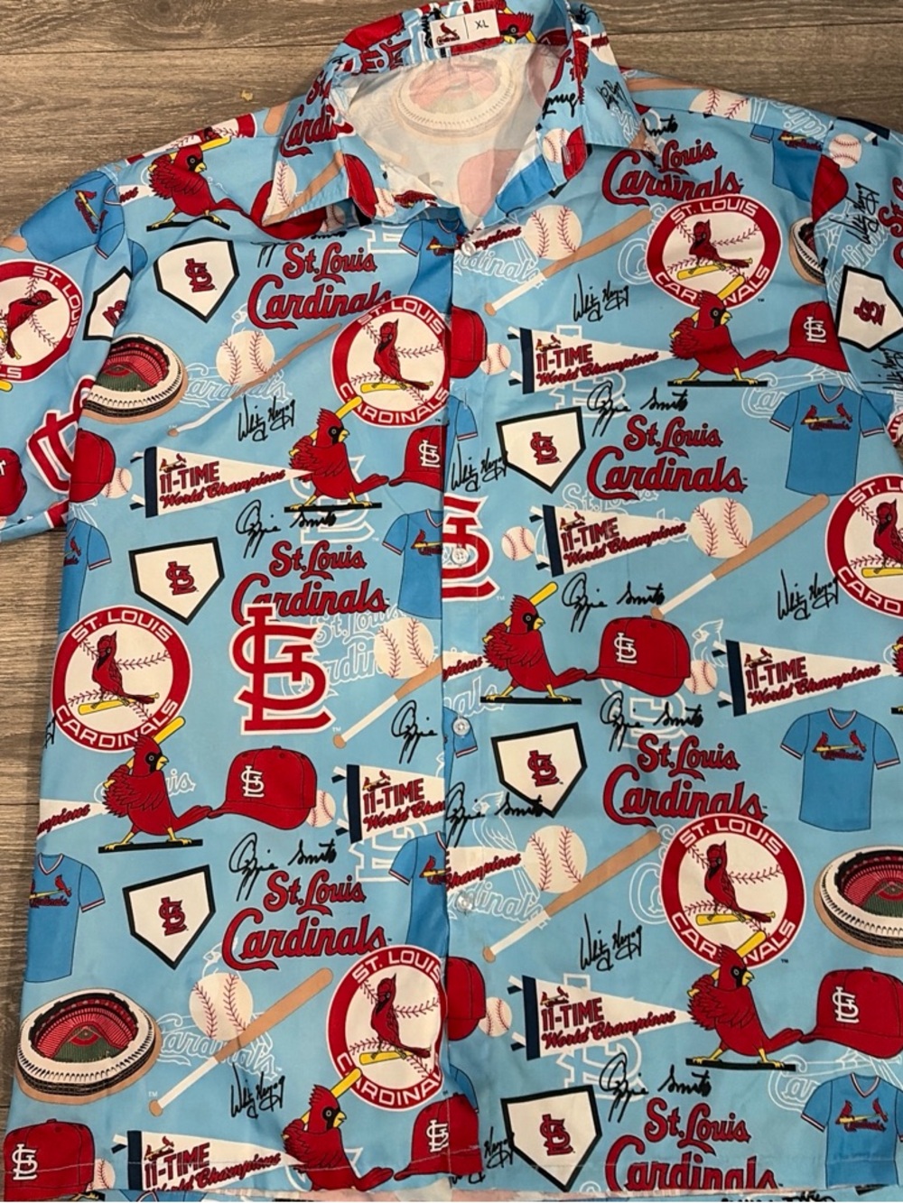 Short-Sleeve Button-Up Shirt in Light Blue and Red